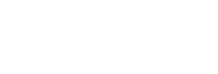 NZC Logo