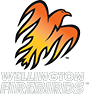 Wellington Firebirds