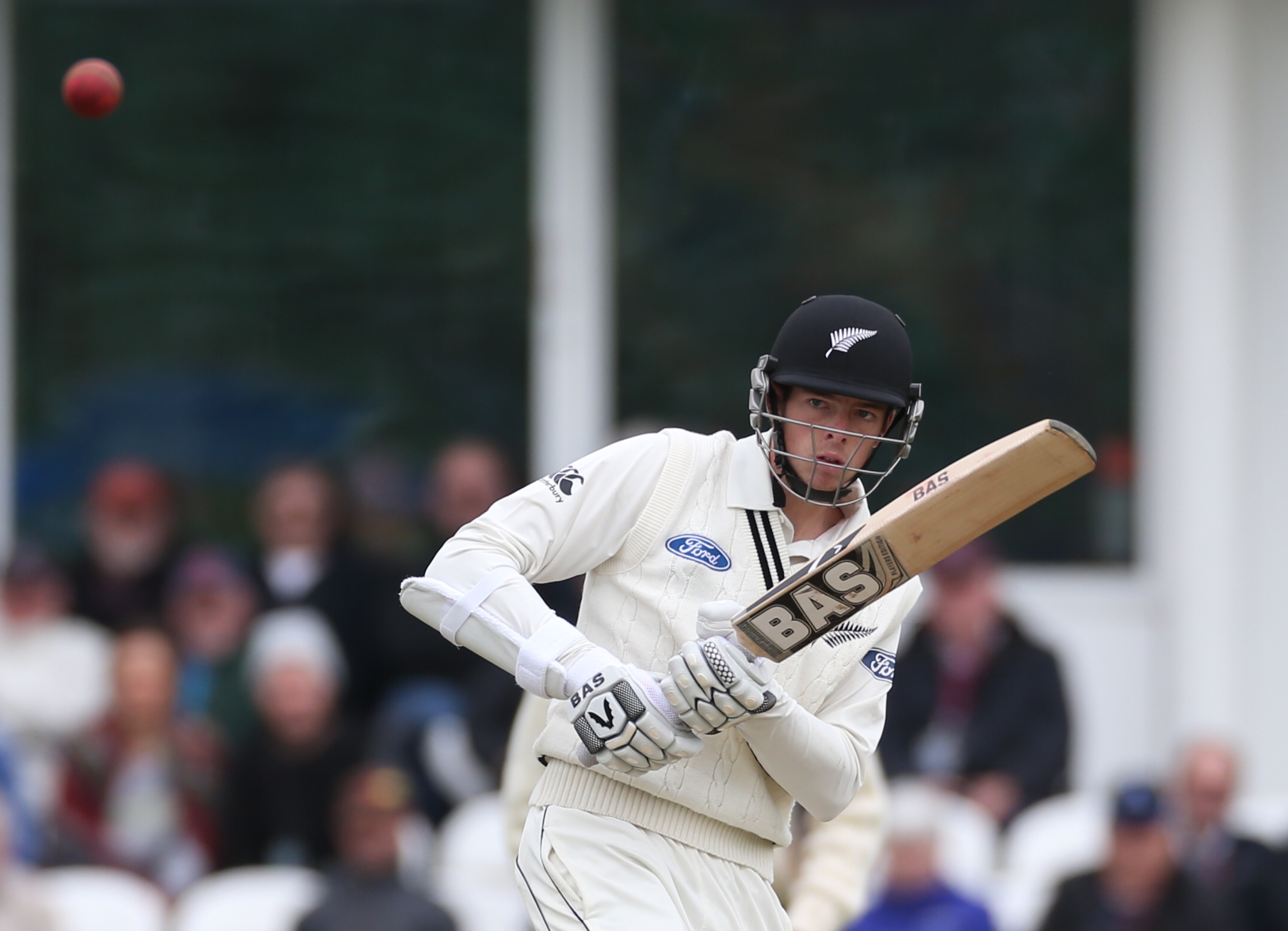 Mitchell Santner Somerset.jpg