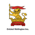 wellington-cricket.jpg